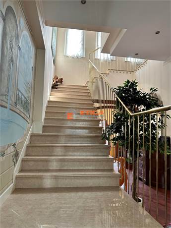 Photo 51